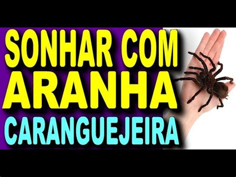 sonhar com teia de aranha jogo do bicho